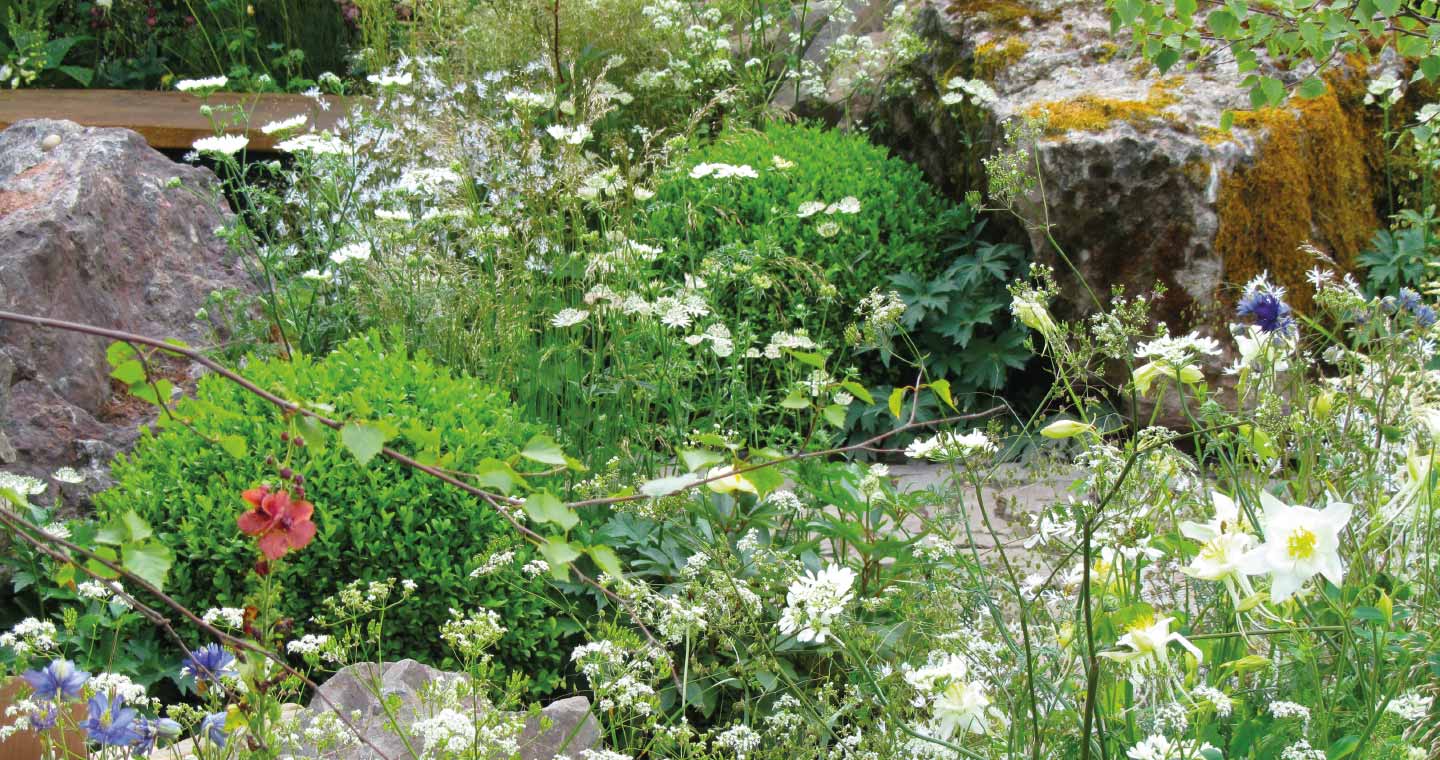 team-gruen-elzach-garten-landschaftsbau-rasenanlagen-pflanzarbeiten-01.jpg