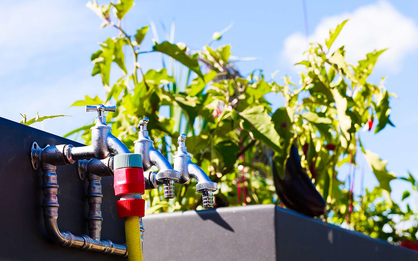 team-gruen-elzach-garten-landschaftsbau-regenwassernutzung-01.jpg