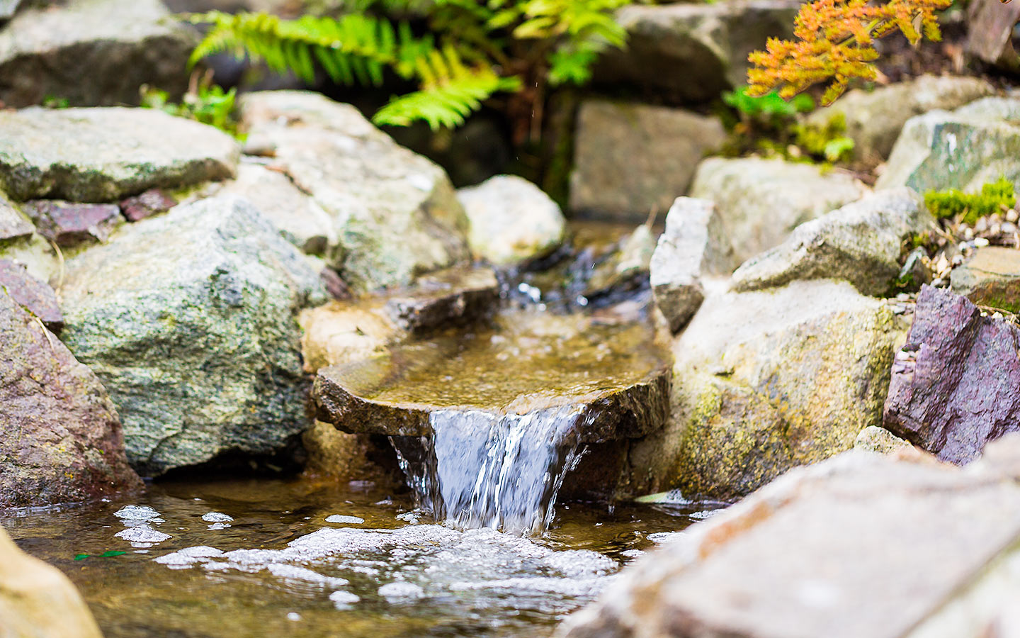 team-gruen-elzach-garten-landschaftsbau-wasser-im-garten-04.jpg